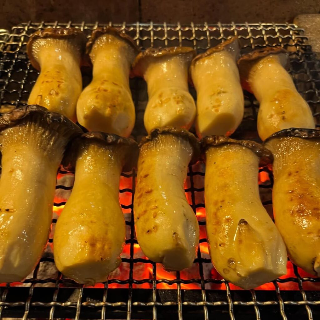 肉山富山のエリンギ
